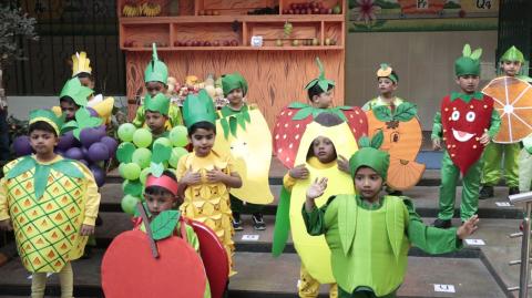 Fruit Frenzy 26