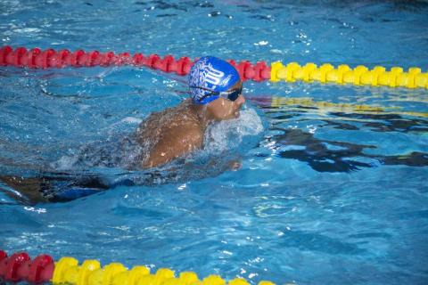 Aquatic Meet