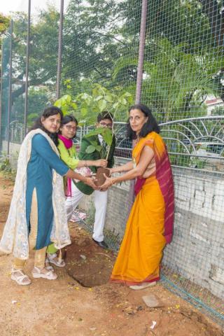 Environment Day