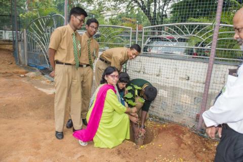 Environment Day