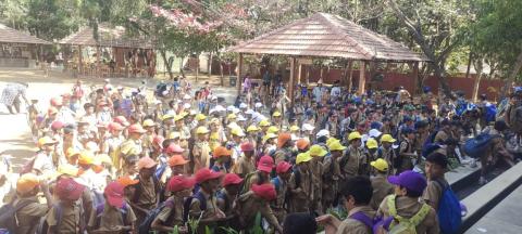  Class Picnic - Standard II - 2024 