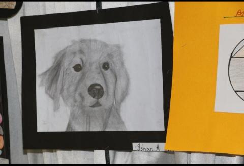Art Exhibition - Album 3