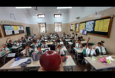 Fruits Week Celebration - Apple Day