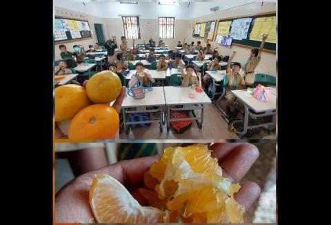 Fruits Week Celebration - Orange Day