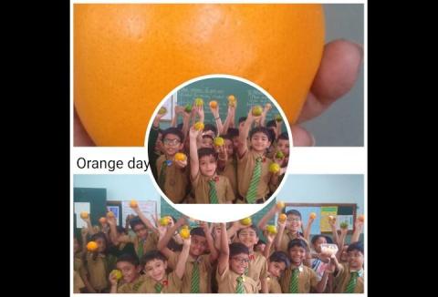 Fruits Week Celebration - Orange Day
