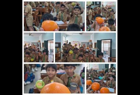 Fruits Week Celebration - Orange Day