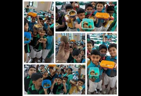 Fruits Week Celebration - Chikoo Day