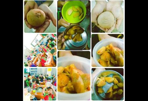 Fruits Week Celebration - Chikoo Day