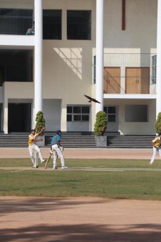 INTER-HOUSE CRICKET TOURNAMENT – Senior and Junior - Album 2