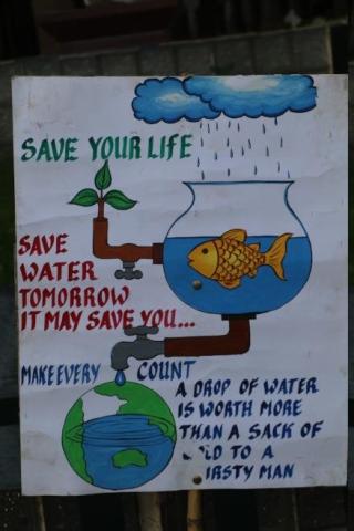 World Environment Day - 25