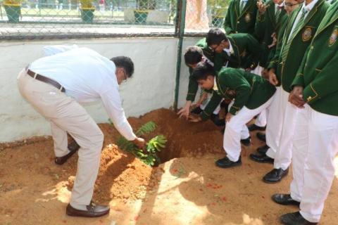 World Environment Day - 25