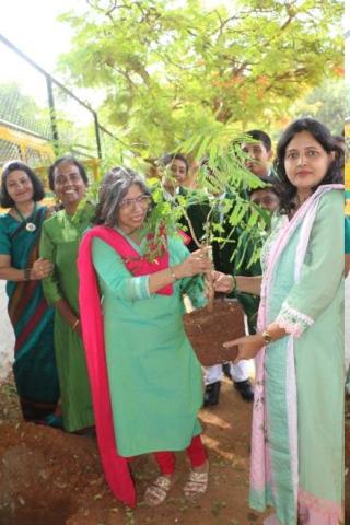 World Environment Day - 25