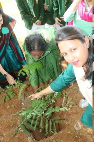 World Environment Day - 25