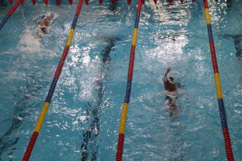 CISCE Swimming Competition 25 - Zone 1