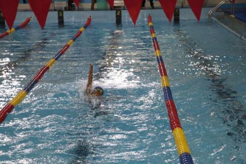The Inter-House Annual Aquatic Meet - Day 1