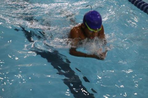 The Inter-House Annual Aquatic Meet - Day 1