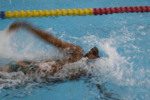 The Inter-House Annual Aquatic Meet - Day 1